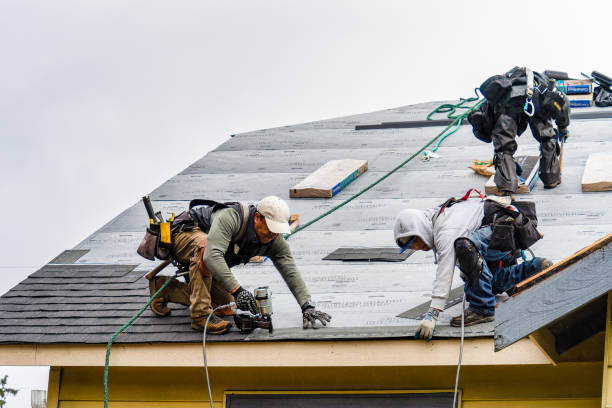 Professional Storm Damage Roof Repair technician working in Palo, IA