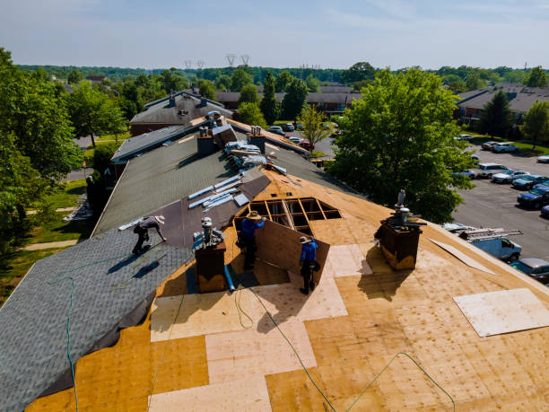 24/7 Emergency Storm Damage Roof Repair experts in Palo, IA